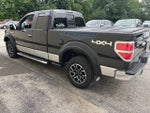 2010 Ford F-150 XLT