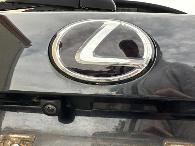 2020 Lexus NX 300 NX 300