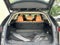 2020 Lexus NX 300 NX 300