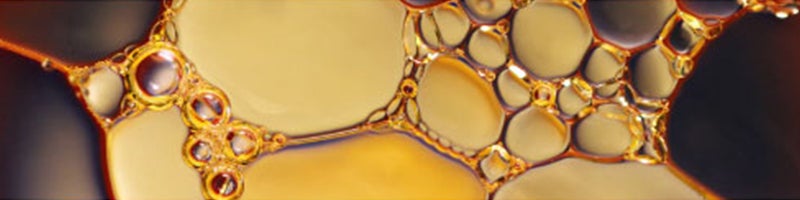 Norristown CDJR in Norristown PA